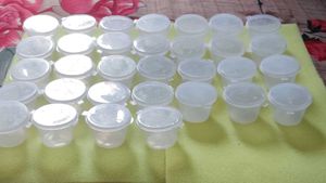 32 Small Plastic Containers with Lids