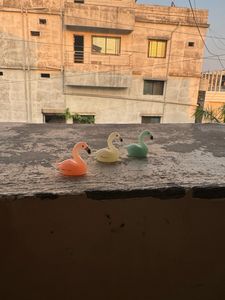 Set Of 3 Colourful Birds Miniature