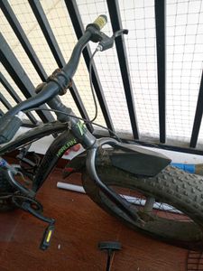 Harlan Fat Tire Bicycle