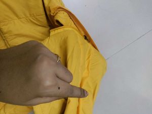 Yellow Jacket With Hoodie