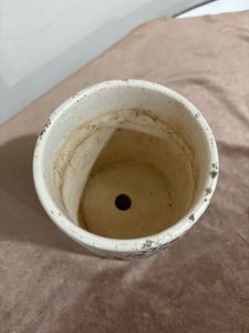 Tree Design Ceramic Pot (without flowers)