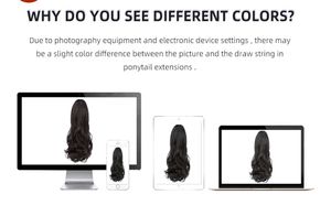 Black Claw Clip Ponytail Extension