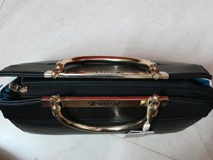 Black Exotic Handbag (Purse)