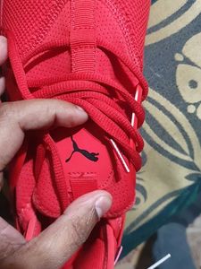 Puma Red Running Shoes UK9 Original