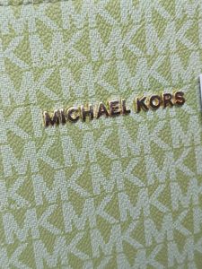 Michael Kors hand Bag - Light Green 💚