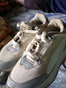 Sports Shoes