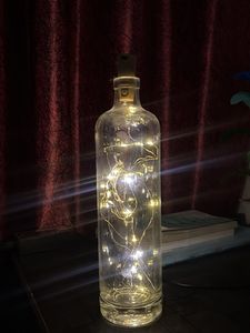 Wine Bottle Fairy Lights Decor