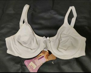 Enamor cotton briefs for women