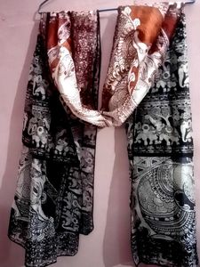 Exquisite Dupatta with Traditional Motifs