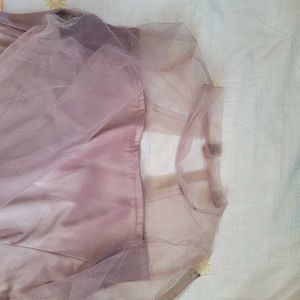 Mauve Sheer Sleeve Top