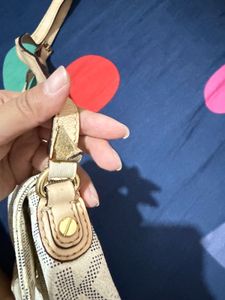 Michael Kors Crossbody Bag