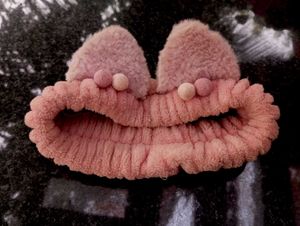 Cute Fuzzy Pink Headband with Ears