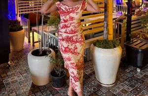 Chic Ruched Toile Print Midi Dress and mesh top