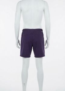 Adidas Men's Purple Running Shorts