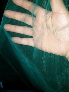 Elegant Emerald Green Net Fabric saari