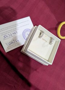 Swarovski Sparkling Stud Earrings