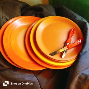 9 Vibrant Melamine Dinner Plates