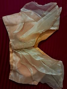 Designer Blouse 👚