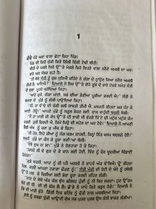 Novel(Punjabi) Eh Hamara Jewan
