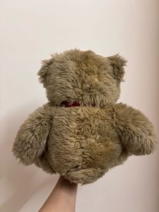 Soft Brown Teddy Bear with Red Bow