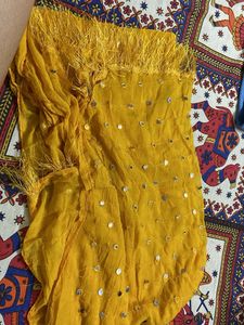 Sparkling Sequin chaniya choli