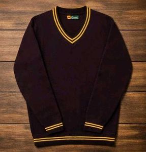 Vintage V-Neck Sweater