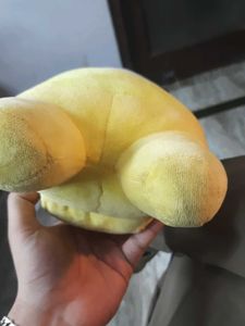 Genuine Toikido Among Us Yellow Plush Toy – Origin