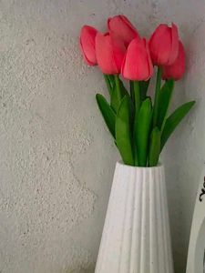 Rose Flowered🌷