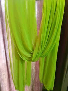 Beautiful Parrot Green Chiffon Duppata 💚