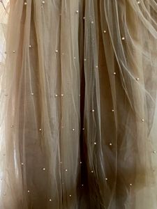 Brand New Net Gown