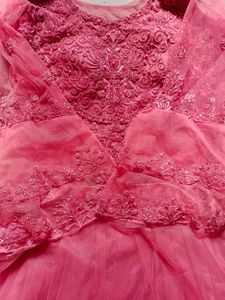 Never Worn Mauve Embroidered Lahenga Choli