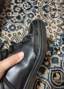 Levis Shoes (Authentic)