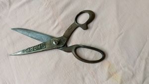 Scissor Now Not Working.
