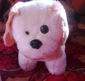Very Cute Puppy