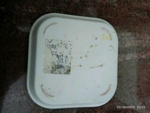 Decorative Snacks Tray