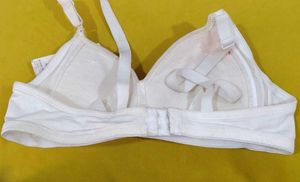 904 --  sample item Padded Bra
