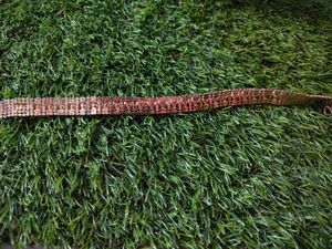 Beautiful Pearl Choker