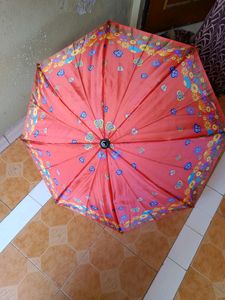 2 Color Umbrella
