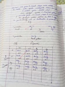 Biology Handwritten Class 12 Notes