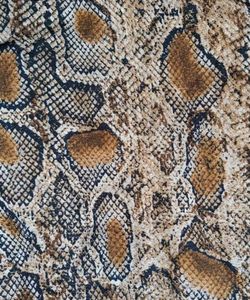 Snakeskin Print Button-Down Dress