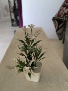 Miniature White Flower Arrangement