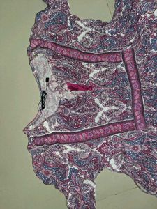 Boho Paisley Print dress