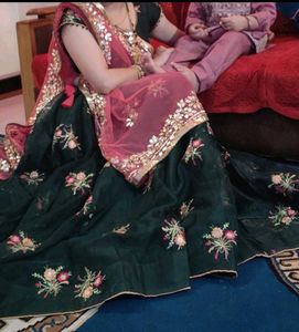 Embroidered Lehenga Choli Set