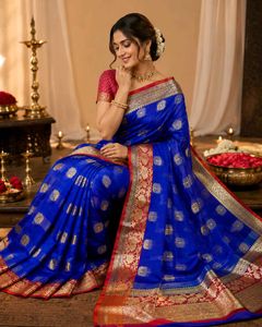 beautiful blue saree