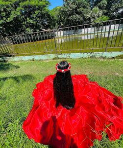 Stunning Red Ethnic Gown