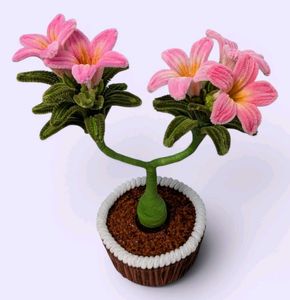Handmade Pink Adenium Flower Bonsai Decor