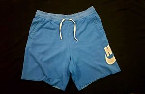 Nike Men's Blue Athletic Shorts