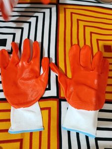 Gloves For All Purpose
