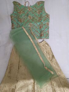 Elegant Lehenga Choli Set