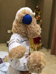 Collectible Teddy Bear